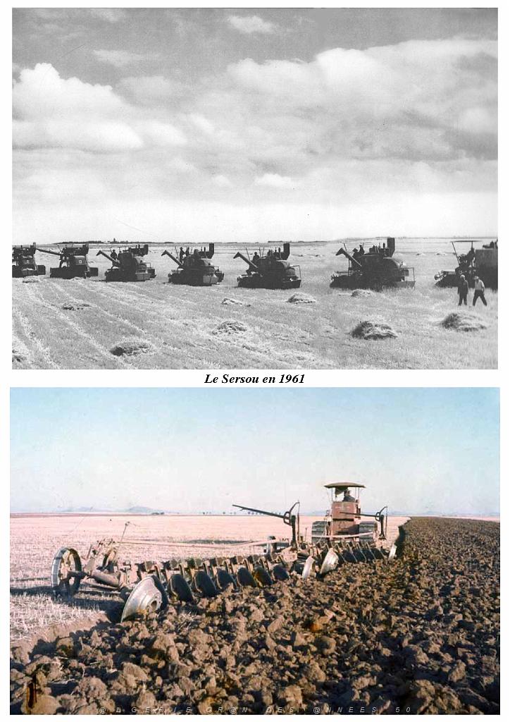 LE COLON DU SERSOU PAR FRISON ROCHE_000018.jpg